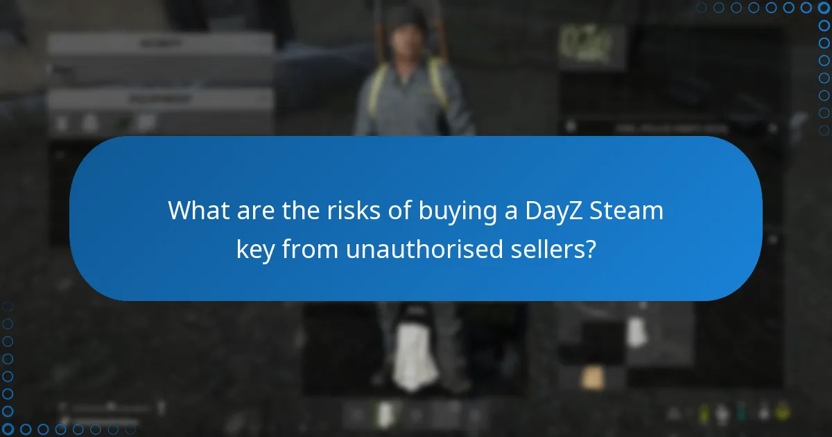 What are the risks of buying a DayZ Steam key from unauthorised sellers?