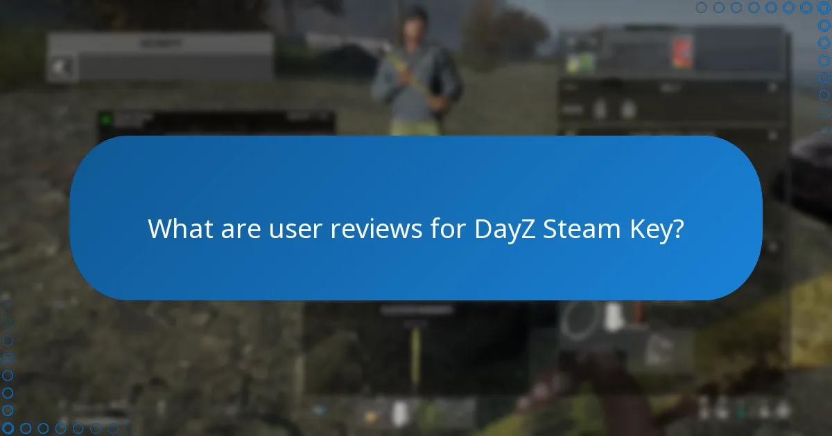 How does the value of DayZ compare to its Steam Key price?
