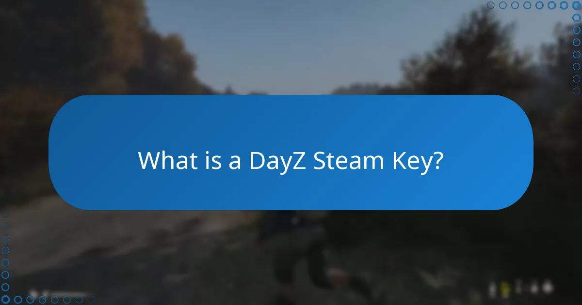 What are common troubleshooting issues with DayZ?